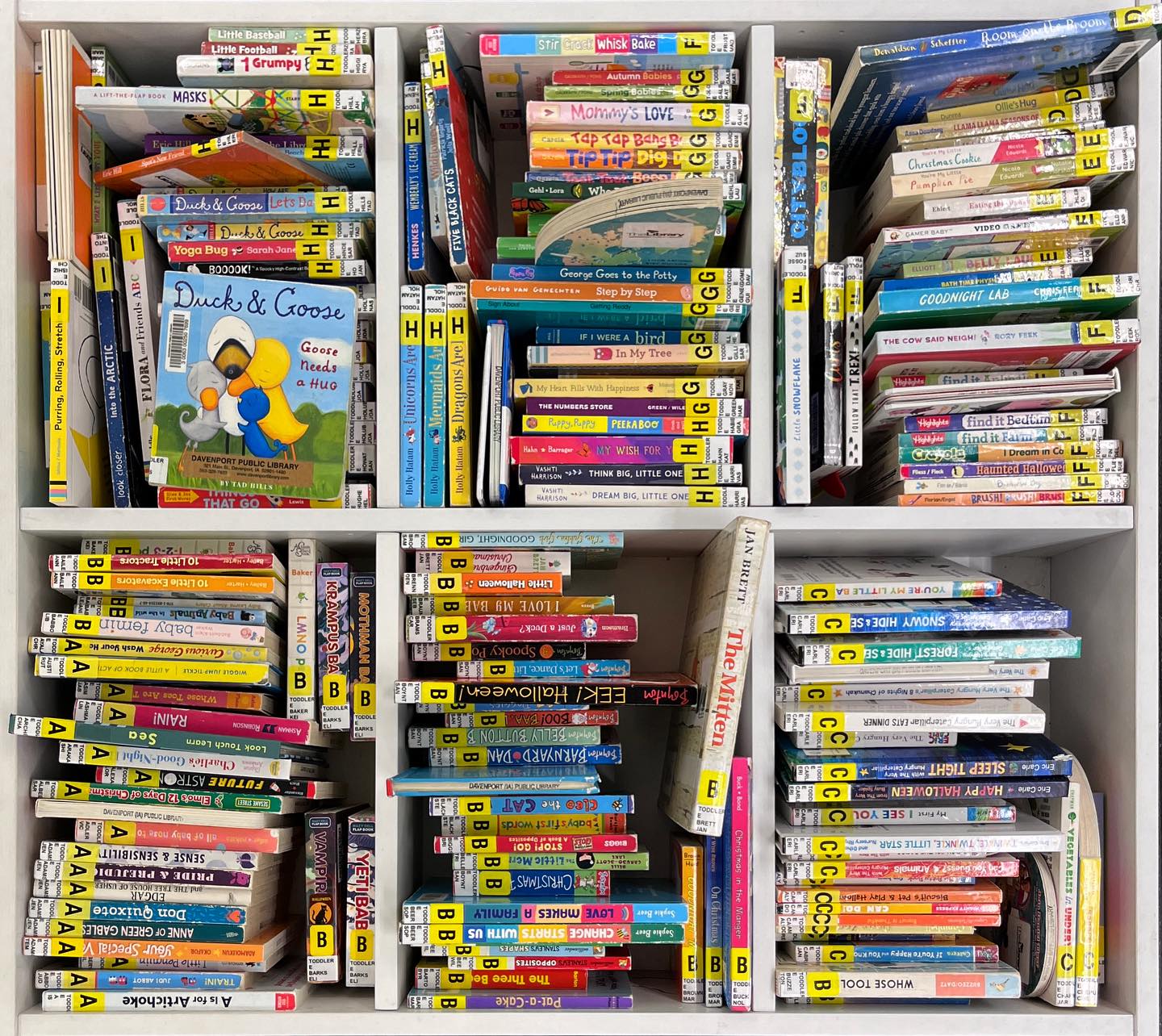 Stacks of library books on a shelf.